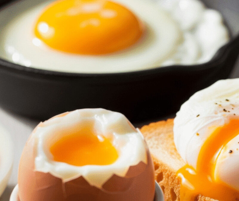 L&rsquo;œuf : le guide complet pour le choisir, le conserver et le cuisiner