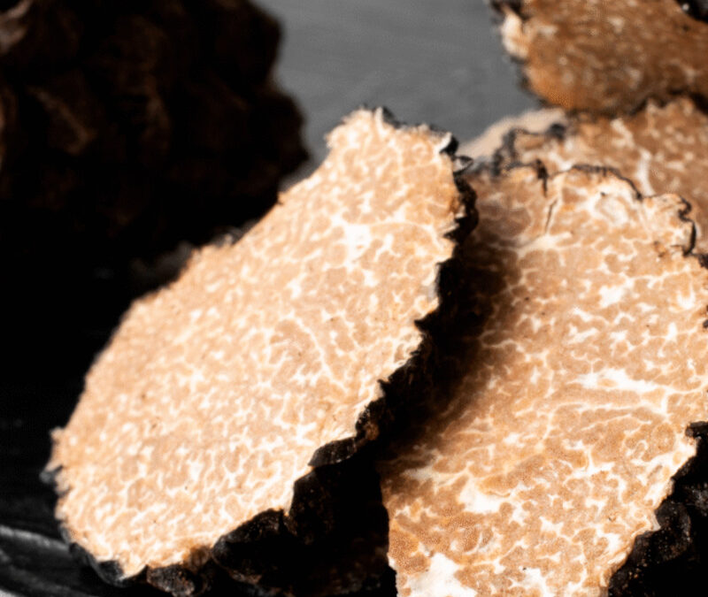 Le vrai rôle de la truffe en cuisine : Ne la gâchez plus, sublimez-la !