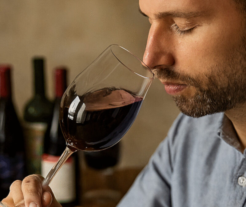Maîtriser la dégustation de vin : Les 3 Étapes (Œil, nez, bouche) et le vocabulaire du Sommelier