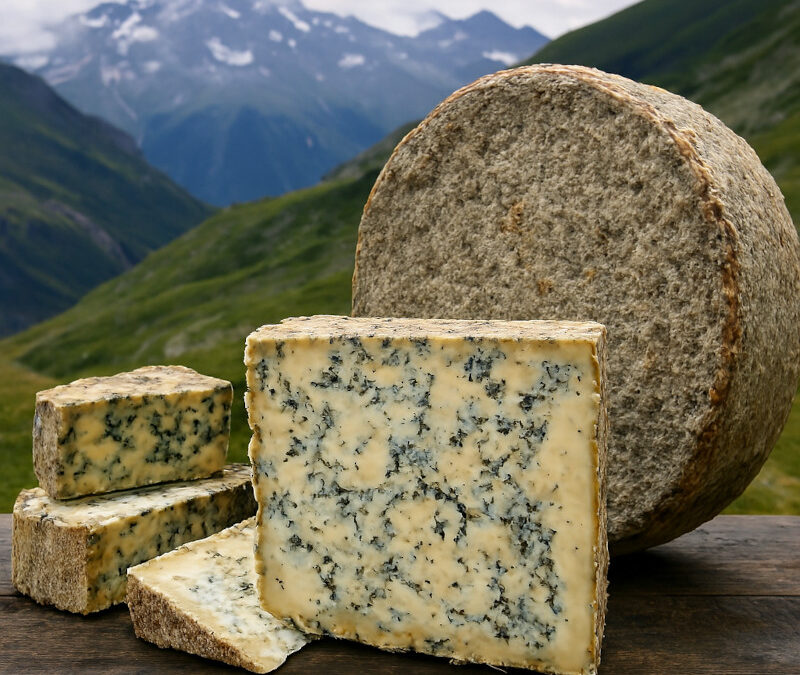 Bleu de Termignon : Le fromage le plus rare de France, trésor caché des alpages savoyards