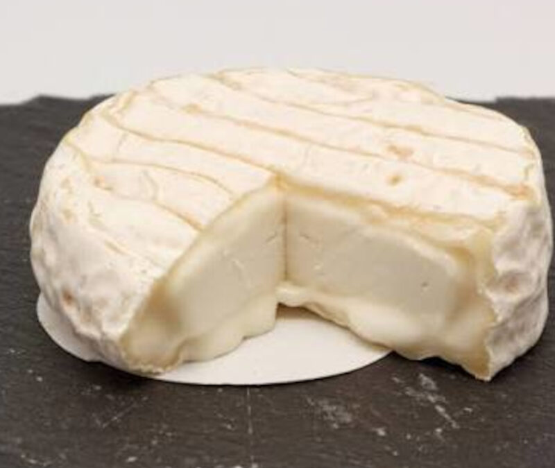 Le Pélardon AOP : Un chèvre languedocien au goût de maquis