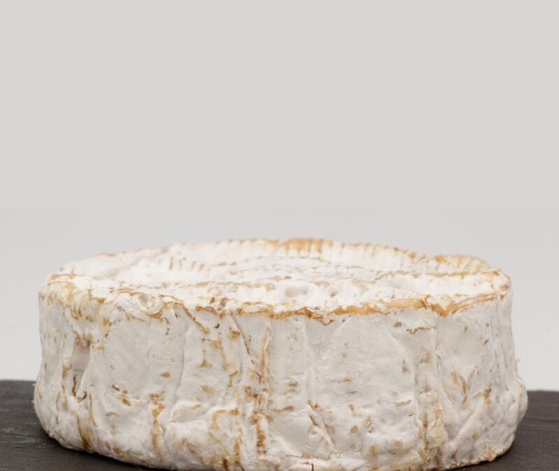 Le Camembert de Normandie : L’histoire secrète du fromage qui a failli disparaître