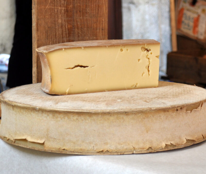 L’Abondance : Le fromage de Haute-Savoie entre tradition pastorale et excellence gastronomique