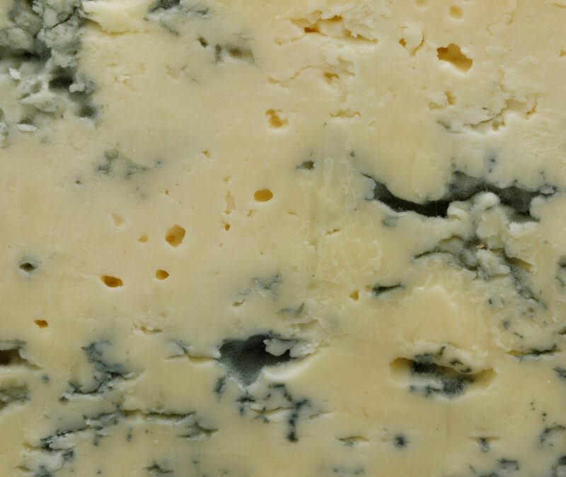 Le Bleu de Gex : Le trésor méconnu des montagnes du Jura