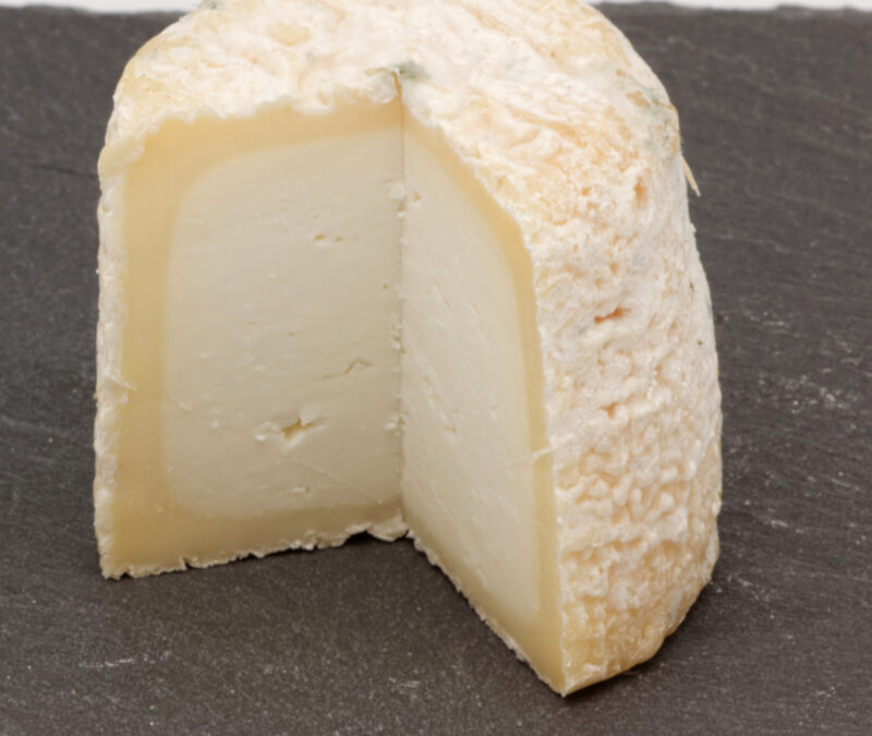 Le Chabichou du Poitou AOP : Le petit cône aux saveurs de montagne et de plaine