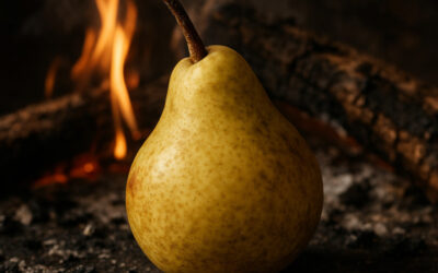La poire de Fisée : La survivante des feux de bois