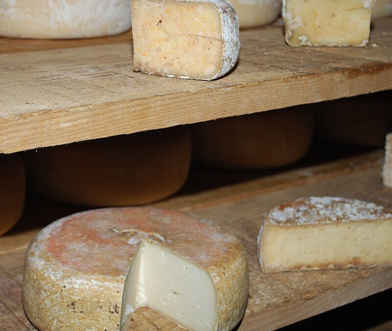 L’Ossau-Iraty : La sentinelle de pierre et de lait du terroir Pyrénéen