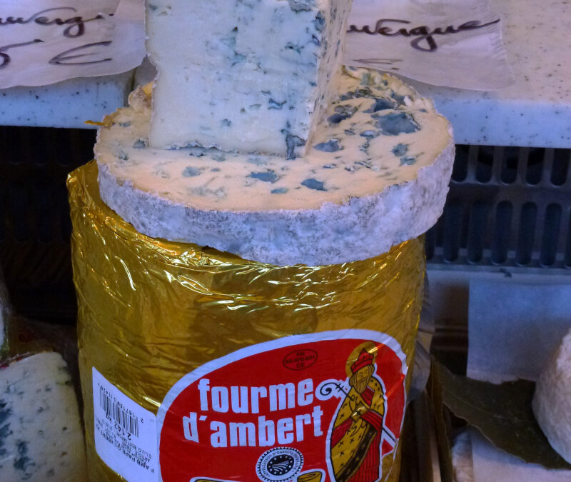 La fourme d’Ambert : Le plus doux des fromages bleus d’Auvergne, histoire et saveurs