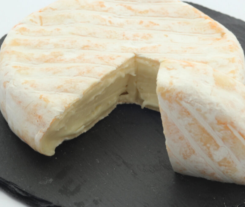 Le reblochon : Histoire, terroir et secrets d’un fromage de caractère des Savoies