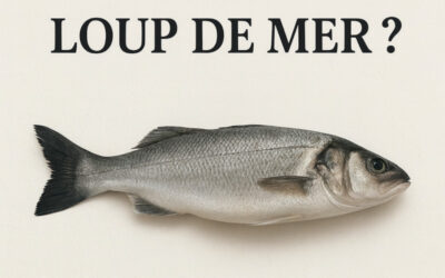 Bar ou loup de Mer : Lequel s’invite à votre table ?