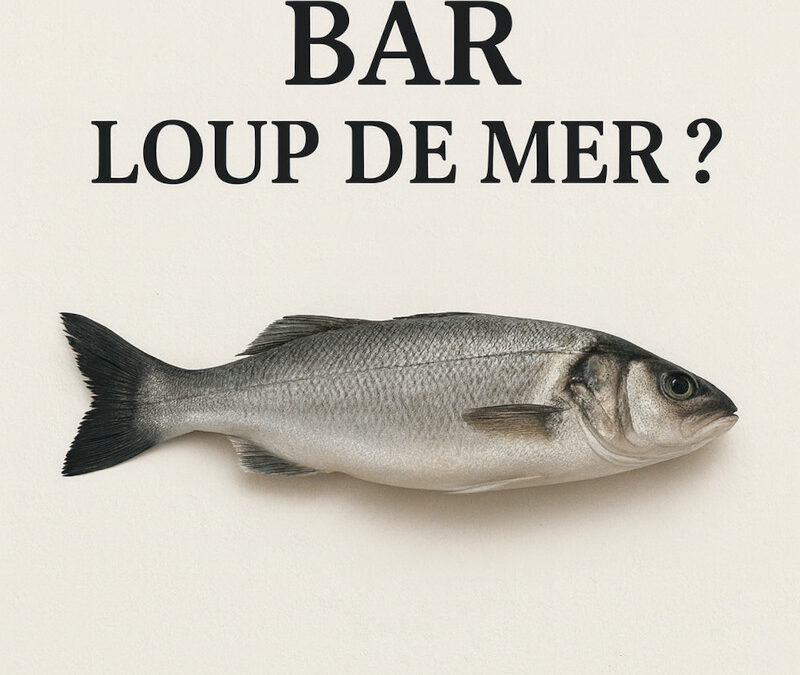Bar ou loup de Mer : Lequel s’invite à votre table ?