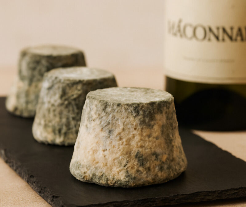 Le Mâconnais AOC : Le petit palet de chèvre qui a tout d&rsquo;un grand