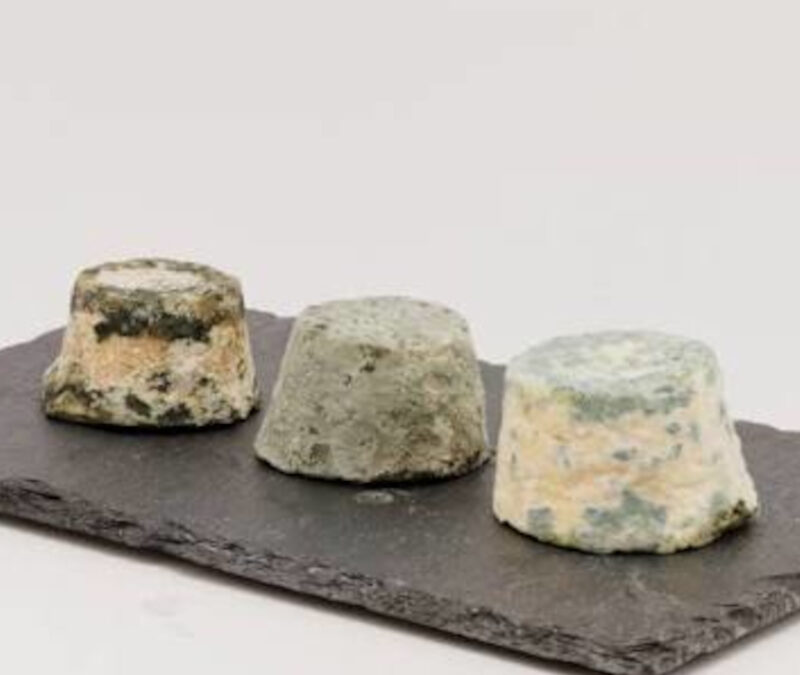 Le Mâconnais AOC : Le petit palet de chèvre qui a tout d’un grand
