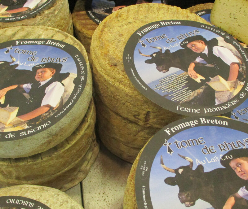 La Tome de Rhuys : Le renouveau d’un trésor fromager en terre de sel
