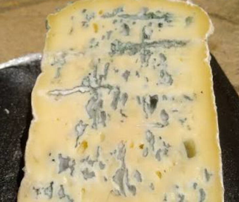 Le bleu du Vercors-Sassenage : Le trésor onctueux des montagnes du Dauphiné