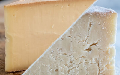 Congeler le fromage : Entre préservation et dénaturation technique