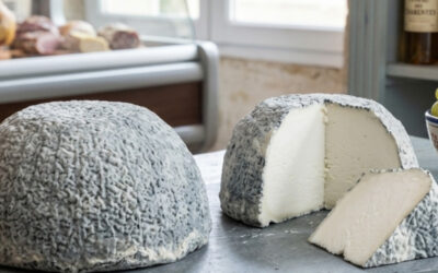 La Taupinière Charentaise : L&rsquo;incontournable dôme de saveurs du Pays de l&rsquo;or blanc