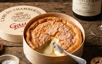 L&rsquo;ami du Chambertin : Le géant de Gevrey à la robe pourpre