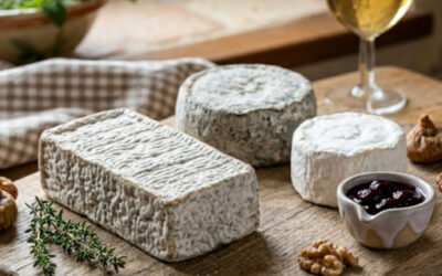 Chèvre de l&rsquo;Adour : Pourquoi ce trésor méconnu est-il le péché mignon des initiés du Sud-Ouest ?