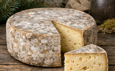 La tomme de Chartreuse : Le trésor d’émeraude des alpages Isérois