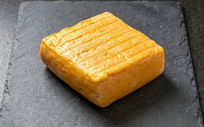 Le Vieux-Boulogne : Voyage au cœur du fromage le plus aromatique du monde