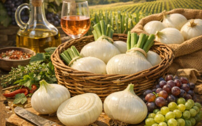 L&rsquo;oignon qui ne fait jamais pleurer : La vérité sur le Cèbe de Lézignan