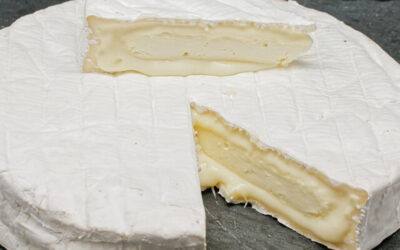 Le Brie de Nangis : L’élégance oubliée des terroirs de Seine-et-Marne