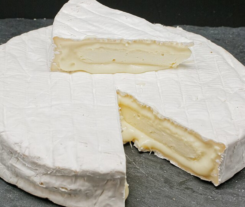 Le Brie de Nangis : L’élégance oubliée des terroirs de Seine-et-Marne