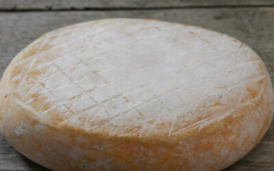 Le fromage Chambérat : Secret, histoire et recette de ce trésor du Bourbonnais