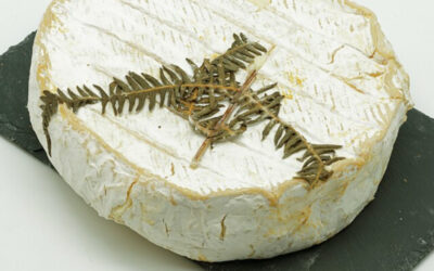 Tout savoir sur le Fougerus : Ce fromage de Seine-et-Marne décoré d’une fougère