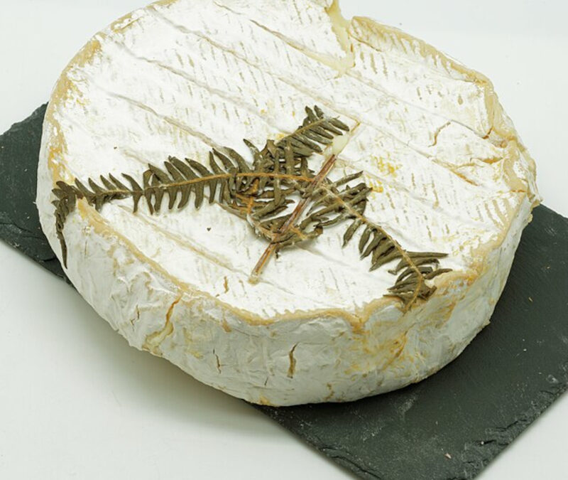 Tout savoir sur le Fougerus : Ce fromage de Seine-et-Marne décoré d’une fougère