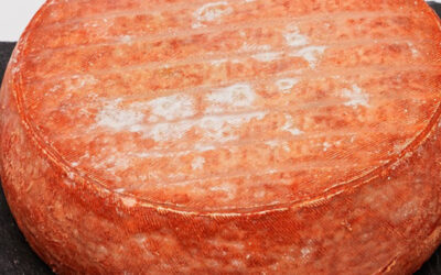 Tout savoir sur le fromage Pavin : Histoire, fabrication et secrets de ce trésor d’Auvergne