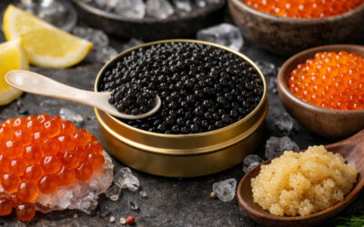 Pourquoi le caviar est-il si cher ? Guide et comparatif des œufs de poisson
