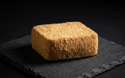 Le Sablé de Wissant : Le trésor fromager de la Côte d’Opale entre terre et mer
