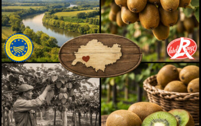 Tout savoir sur le kiwi de l’Adour : Histoire et secrets de culture