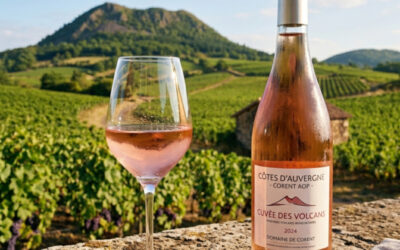 Corent AOP : Le souffle volcanique d’un vignoble discret mais singulier