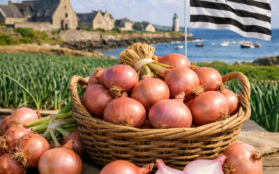 L’oignon de Roscoff : Le trésor rose du Finistère à l&rsquo;accent Britannique