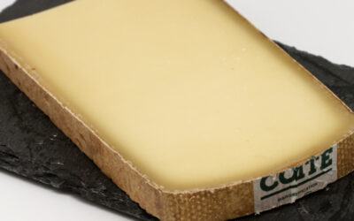 Le Comté : L’âme des montagnes du Jura et premier fromage de France