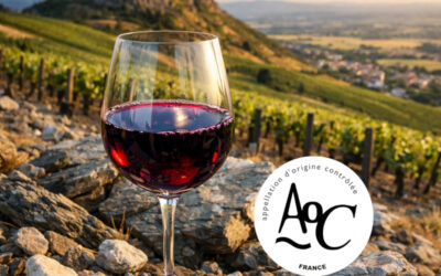 Côte de Brouilly AOC : Le cru le plus minéral du Beaujolais