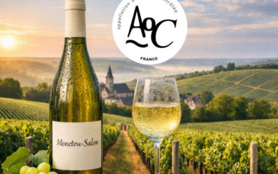 Le Menetou-Salon : Un vignoble confidentiel du Centre-Loire