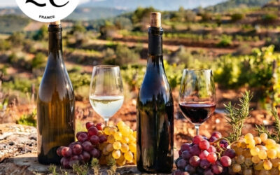 Cairanne AOC, un cru du Rhône méridional entre puissance, fraîcheur et finesse