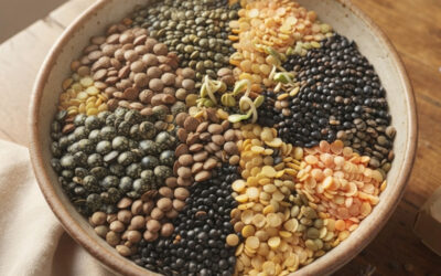 Comment choisir les lentilles, les cuisiner et éviter qu’elles deviennent dures comme des cailloux