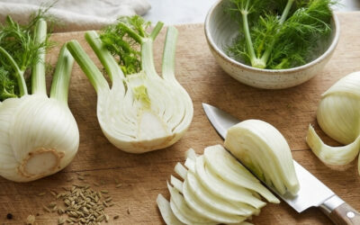 Comment préparer du fenouil : Gestes, techniques et cuissons pour révéler toute sa finesse