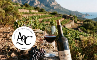 Figari AOC : Un grand vin du sud de la Corse entre granit, vents marins et cépages insulaires