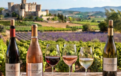 IGP Comté de Grignan : Les vins secrets d’une Provence intérieure entre lavande, mistral et gastronomie
