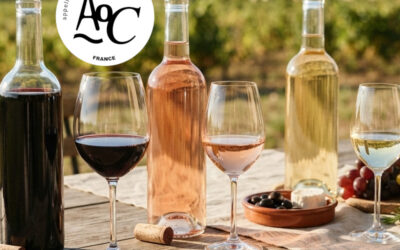 Saint-Chinian AOC : Histoire, terroirs, cépages et vins d’une appellation emblématique du Languedoc
