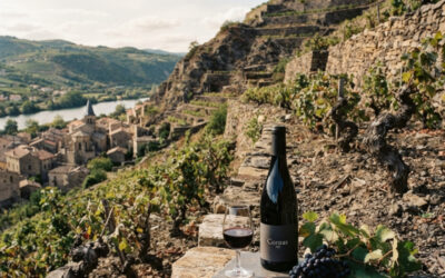 Cornas AOC : Histoire, terroir, Syrah et caractéristiques de ce grand vin de la vallée du Rhône