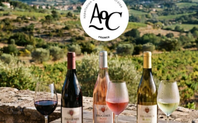 Faugères AOC : L’identité schisteuse d’un grand terroir du Haut-Languedoc