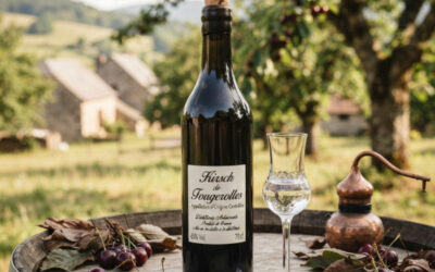 Le kirsch de Fougerolles : Quand la cerise devient l’âme d’un terroir vosgien