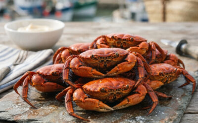 L’étrille : Un petit crustacé emblématique de la gastronomie de la côte Atlantique